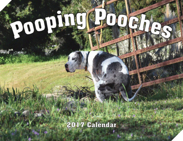pooping pooches dog calendar 5ba2025993366 700