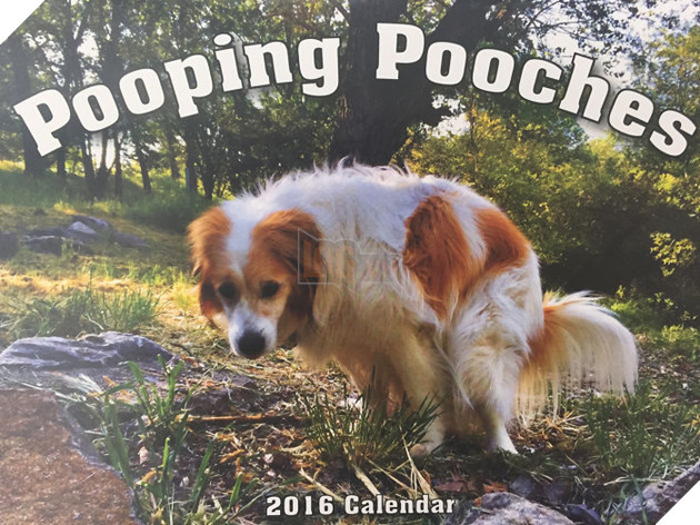 pooping pooches dog calendar 5ba202625e565 700