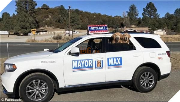 
Siêu xe dành riêng cho “ngài thị trưởng”