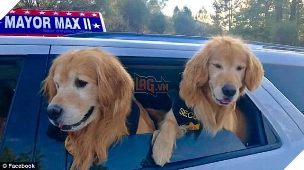 
Maximus cũng được hỗ trợ bởi hai chú chó tên là Mikey và Mitzi