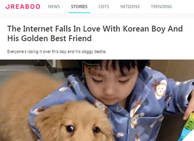 Gặp gỡ tình bạn “vàng” của cậu bé Hàn Quốc và thú cưng của mình 3
