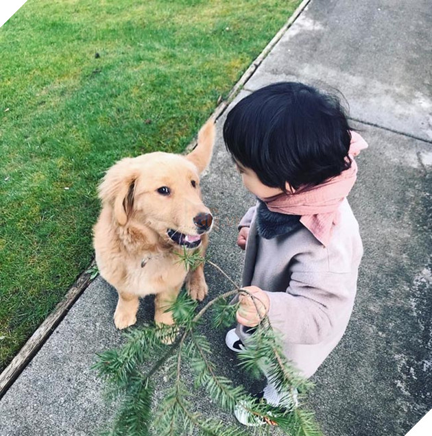 Gặp gỡ tình bạn “vàng” của cậu bé Hàn Quốc và thú cưng của mình 5