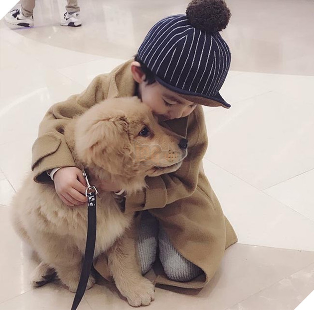 Gặp gỡ tình bạn “vàng” của cậu bé Hàn Quốc và thú cưng của mình 7