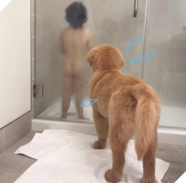 Gặp gỡ tình bạn “vàng” của cậu bé Hàn Quốc và thú cưng của mình 10