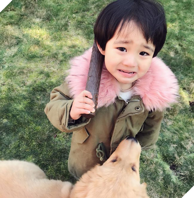 Gặp gỡ tình bạn “vàng” của cậu bé Hàn Quốc và thú cưng của mình 11