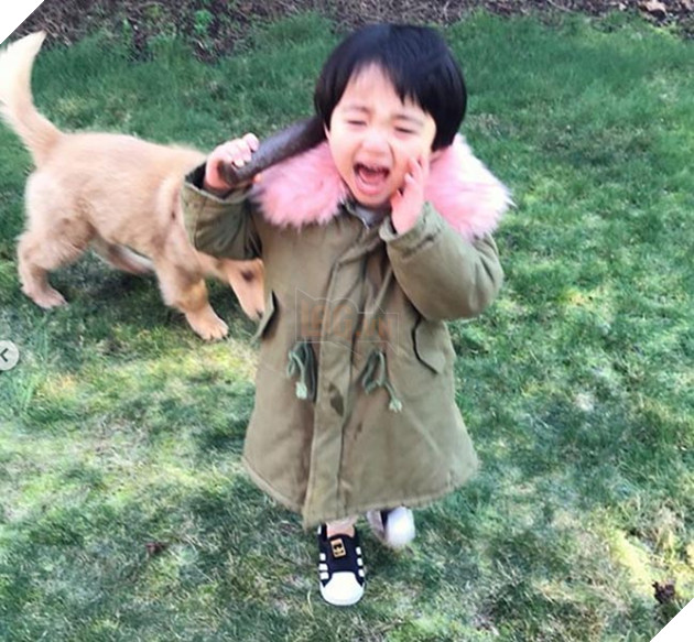 Gặp gỡ tình bạn “vàng” của cậu bé Hàn Quốc và thú cưng của mình 12