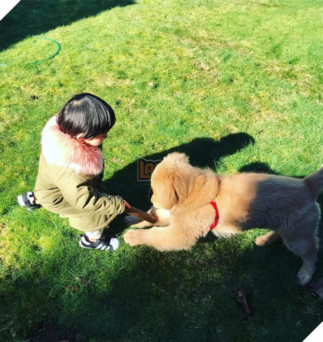 Gặp gỡ tình bạn “vàng” của cậu bé Hàn Quốc và thú cưng của mình 13