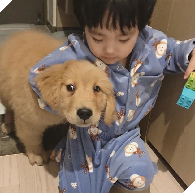 Gặp gỡ tình bạn “vàng” của cậu bé Hàn Quốc và thú cưng của mình 16