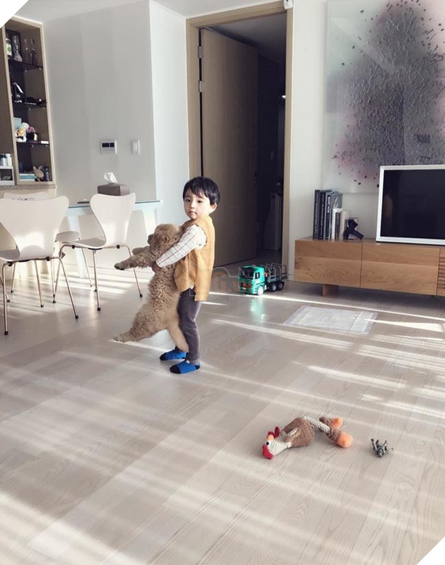 Gặp gỡ tình bạn “vàng” của cậu bé Hàn Quốc và thú cưng của mình 18