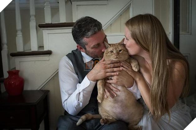 
Đôi vợ chồng mới cưới bên cạnh chú mèo béo Vito đáng yêu.