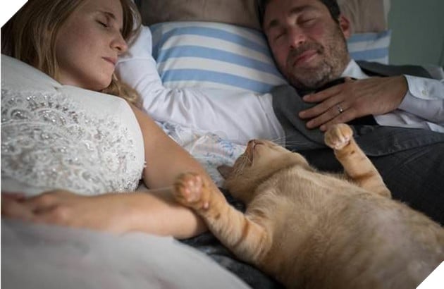 
"Bây giờ vị trí nằm ngủ mỗi tối của Vito là ở giữa vợ chồng chúng tôi."