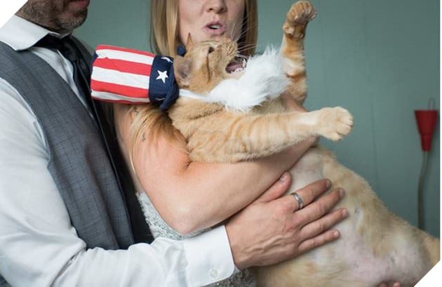 'Rung rinh' trái tim trước bộ ảnh cưới của cặp đôi và 'hoàng thượng' mèo mập