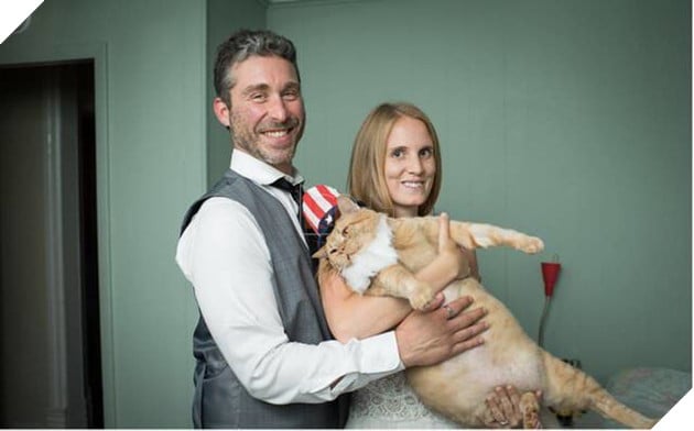 
Thật lòng mà nói, vợ chồng Berkeley cũng không hiểu vì sao Vito lại béo như thế vì cậu nhóc không phải là chú mèo ăn nhiều.