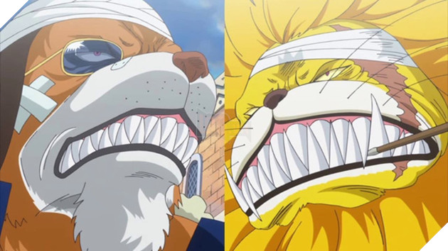 Giả thuyết One Piece 919: Phải chăng vợ của Oden đã dự đoán sự xuất hiện của Băng Mũ Rơm tại Wano Quốc cách đây... 20 năm? - Ảnh 3.