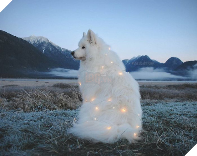 
Cũng tạo dáng deep lắm chứ bộ.