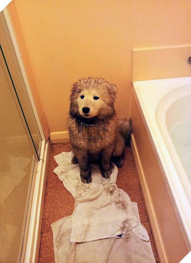 
Nghe đồn ở dơ sống lâu sen ạ!