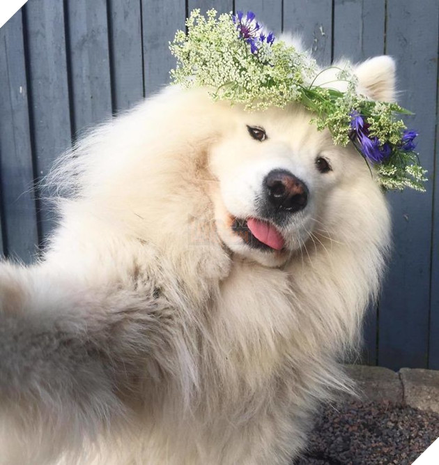 
Cũng biết sống ảo lắm à nha!