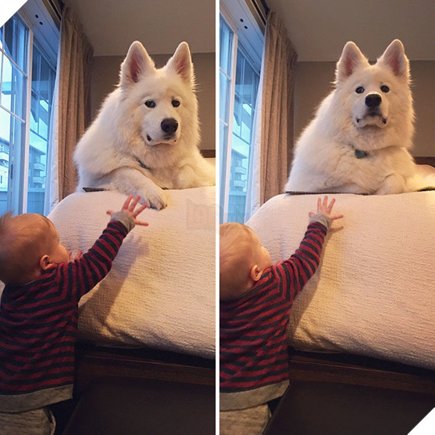 
-“Cho em nắm tay anh một cái đi” - “Không, lượn chỗ khác chơi đi chú em”