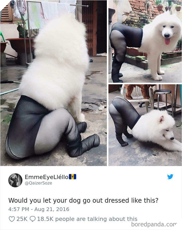 
Quyến rũ dã man luôn mấy sen ơi.