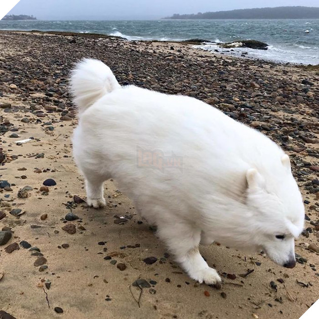 
Gió to cũng không thể làm khó bổn cung!