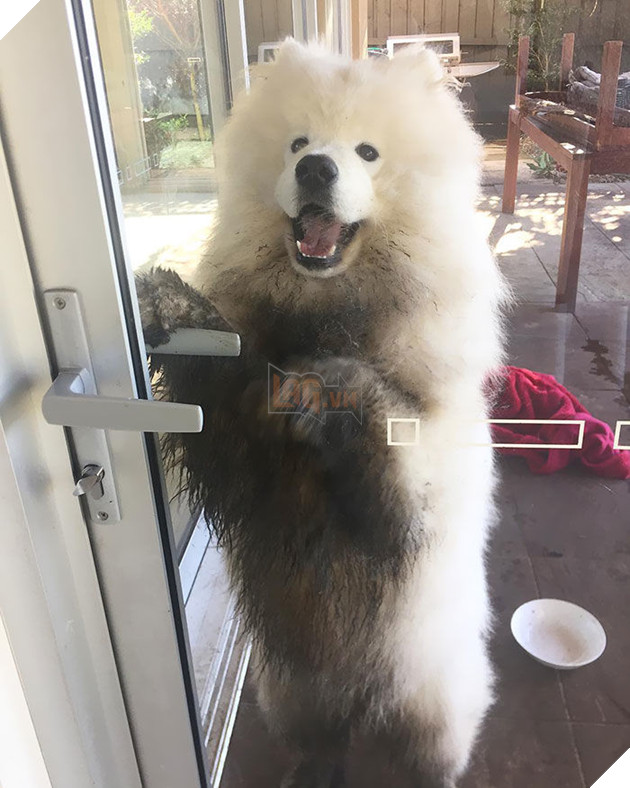 
“Cho vô đi chị ơi, em hứa mai em sẽ ít bẩn hơn hôm nay”