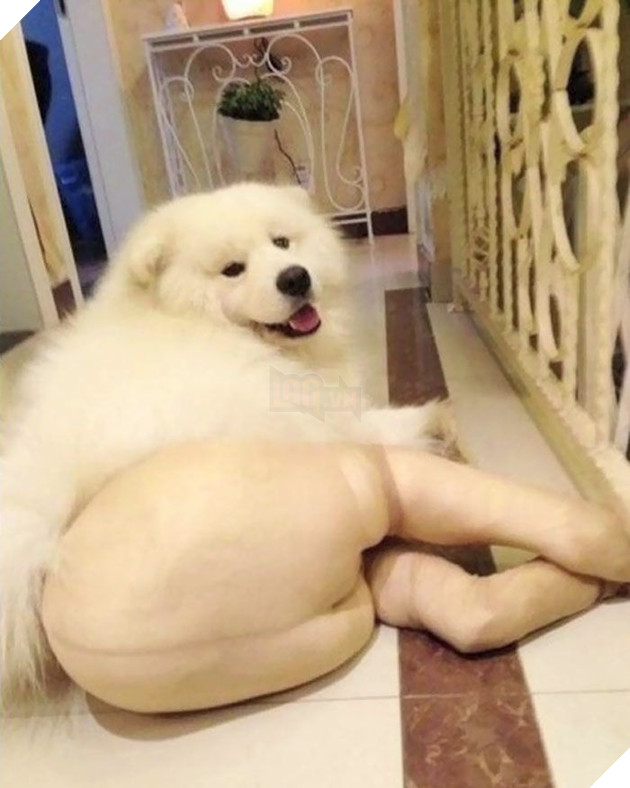 
Sexy nhất là em chứ ai!