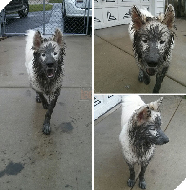 
“Em nè chị ơi, ủa, chị hông nhận ra em luôn hả?”