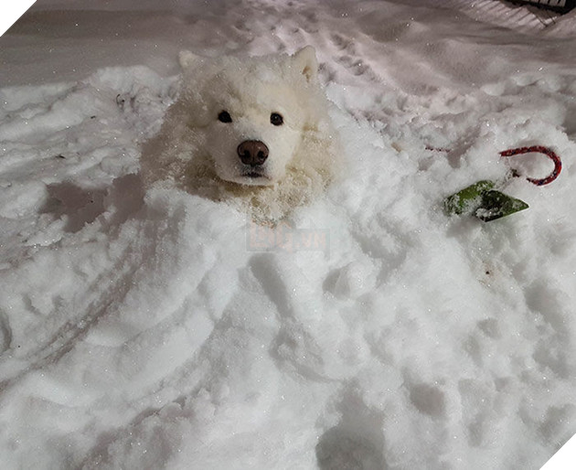 
“Không kéo anh lên còn chụp gì nữa hả sen”