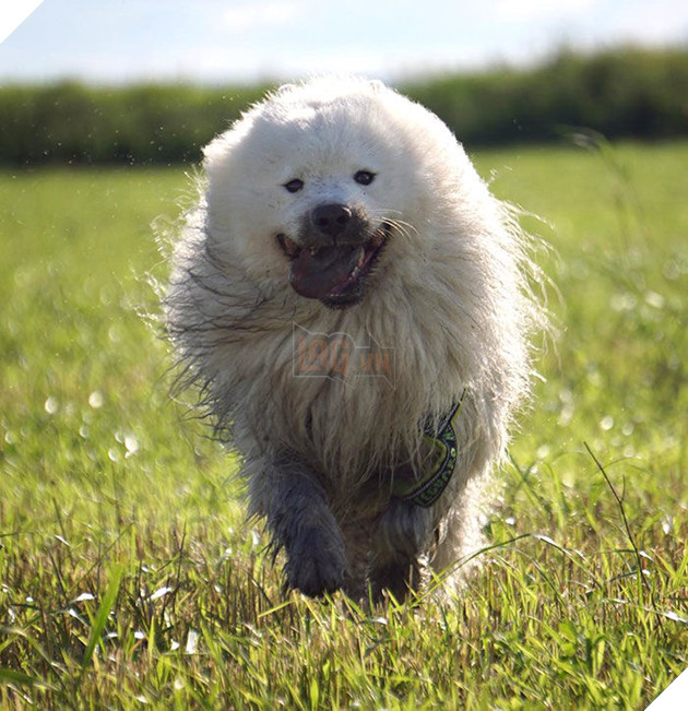 
Sen ơi mình đi tắm thôi!