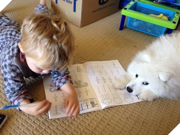 (Ảnh: Unsimplelife.wordpress)