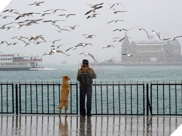 (Ảnh: Ibrahim Canakci)