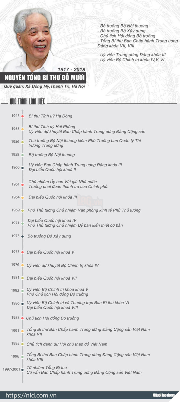 (Infographic) Những Äóng góp to lá»n cá»§a nguyên Tá»ng Bà thư Äá» Mưá»i - Ảnh 1.