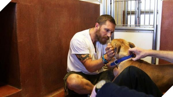 tomhardy and his dog