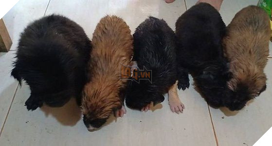 Tắm sạch sẽ cũng đẹp như ai.
Tắm sạch sẽ cũng đẹp như ai.