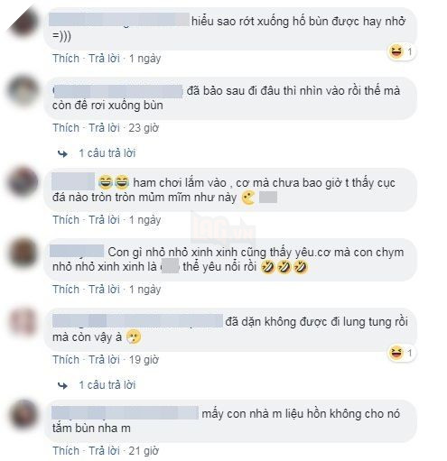 Cuộc giải cứu gây 'sốt' nhất MXH hôm nay: 5 chú cún con thoát chết gang tấc từ đáy giếng bùn Cuộc giải cứu gây 'sốt' nhất MXH hôm nay: 5 chú cún con thoát chết gang tấc từ đáy giếng bùn