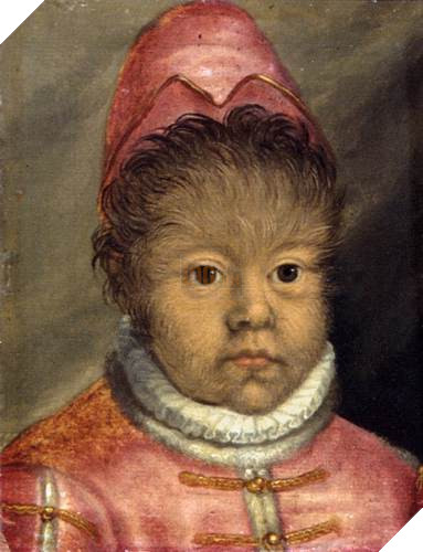 16th century unknown painters the son of the hairy man from munich wga23791