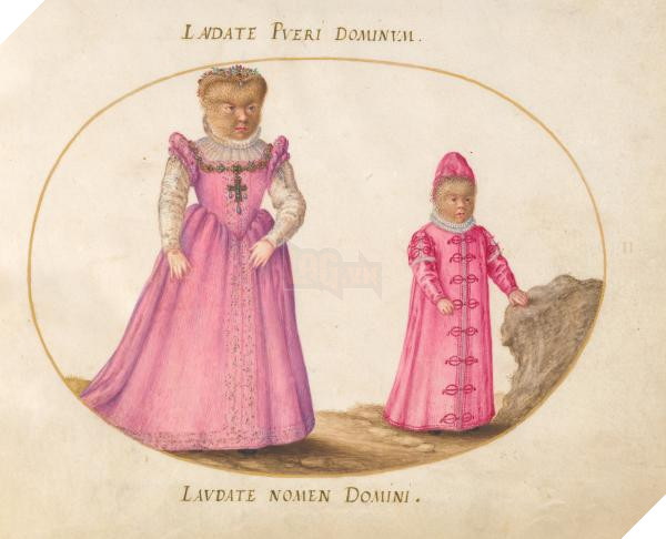 joris hoefnagel animalia rationalia et insecta ignis plate ii