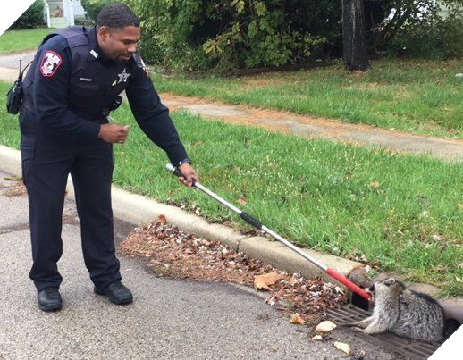 
"Tui hóp bụng vào rồi đó, kéo tui lên đi..."