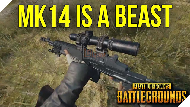 PUBG Mobile VNG Việt Nam: Top súng bắn tỉa bán tự động DMR mạnh và dễ dùng nhất cho mọi người 5