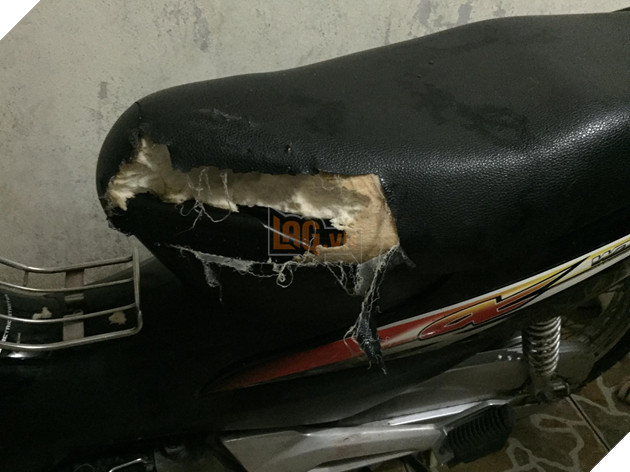 Cơn ác mộng mang tên nuôi boss ngáo: Hứng lên là phá tan tành nhà cửa không cần biết đúng sai - Ảnh 3.