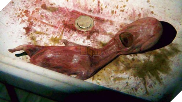 Điều gì khiến P.T luôn là điển hình thành công cho một tựa game kinh dị - Ảnh 3.