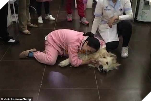 Trung Quốc: Cô gái trẻ ôm chó gào khóc thảm thiết vì vừa đưa từ Mỹ về đã bị hàng xóm đánh bả chết - Ảnh 2.