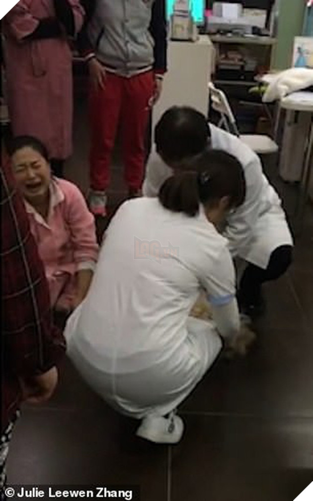 Trung Quốc: C&#244; g&#225;i trẻ &#244;m ch&#243; g&#224;o kh&#243;c thảm thiết v&#236; vừa đưa từ Mỹ về đ&#227; bị h&#224;ng x&#243;m đ&#225;nh bả chết - Ảnh 3.