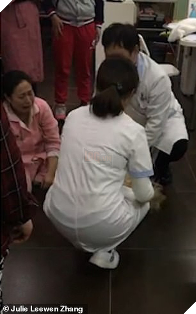 Trung Quốc: C&#244; g&#225;i trẻ &#244;m ch&#243; g&#224;o kh&#243;c thảm thiết v&#236; vừa đưa từ Mỹ về đ&#227; bị h&#224;ng x&#243;m đ&#225;nh bả chết - Ảnh 3.