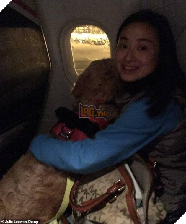 Trung Quốc: Cô gái trẻ ôm chó gào khóc thảm thiết vì vừa đưa từ Mỹ về đã bị hàng xóm đánh bả chết - Ảnh 7.