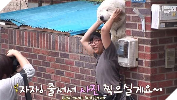 Chú chó 'ngôi sao' lúc nào cũng chồm lên bờ tường giao lưu fan, nhưng sự thật phía sau mới xúc động