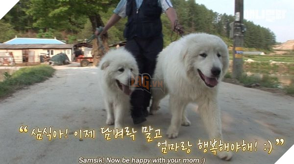 
Giây phút hội ngộ của hai mẹ con khiến không ít người xúc động