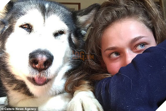 Qu&#225; đau buồn v&#236; ch&#243; cưng qua đời, c&#244; g&#225;i lấy tro cốt của boss xăm l&#234;n cơ thể để m&#227;i được b&#234;n nhau - Ảnh 2.