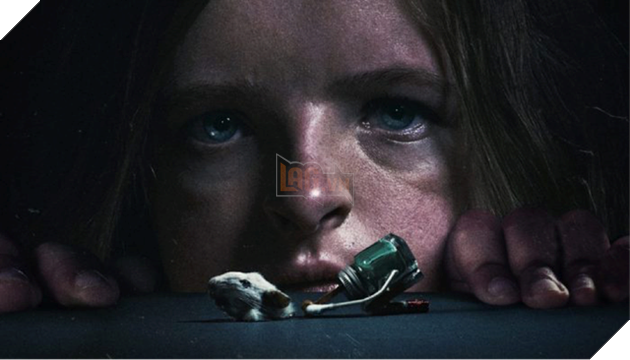 7 bộ phim kinh dị bạn không nên bỏ qua trong ngày Halloween - Ảnh 3.