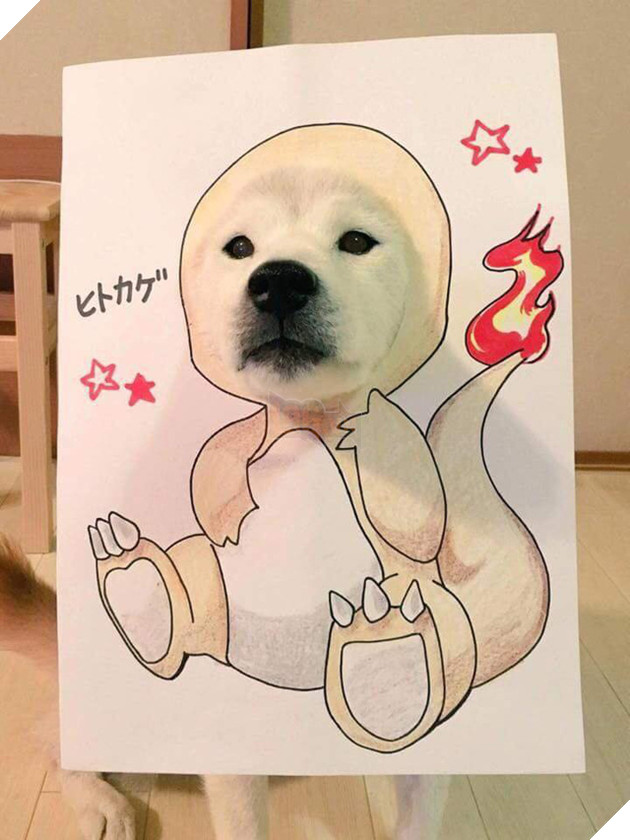 Cười sái quai hàm với chùm ảnh khi bạn là chó nhưng sen lại đam mê Pokemon - Ảnh 1. Cười sái quai hàm với chùm ảnh khi bạn là chó nhưng sen lại đam mê Pokemon - Ảnh 1.